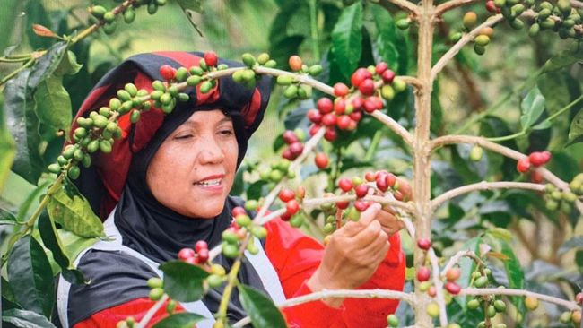 Potensi Bisnis di Aceh Peluang Emas yang Belum Banyak